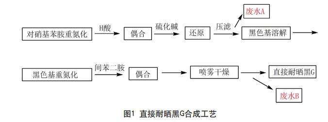 直接耐晒黑G染料废水处理工艺
