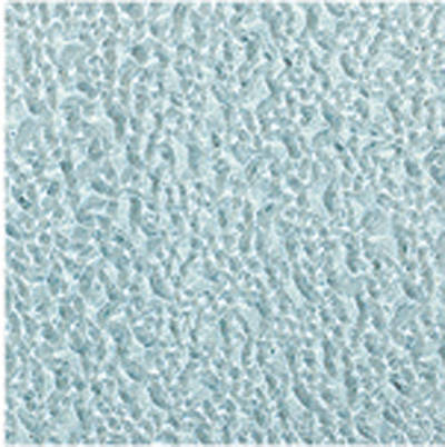 如对该内容存在异议